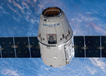 Capsula Dragon