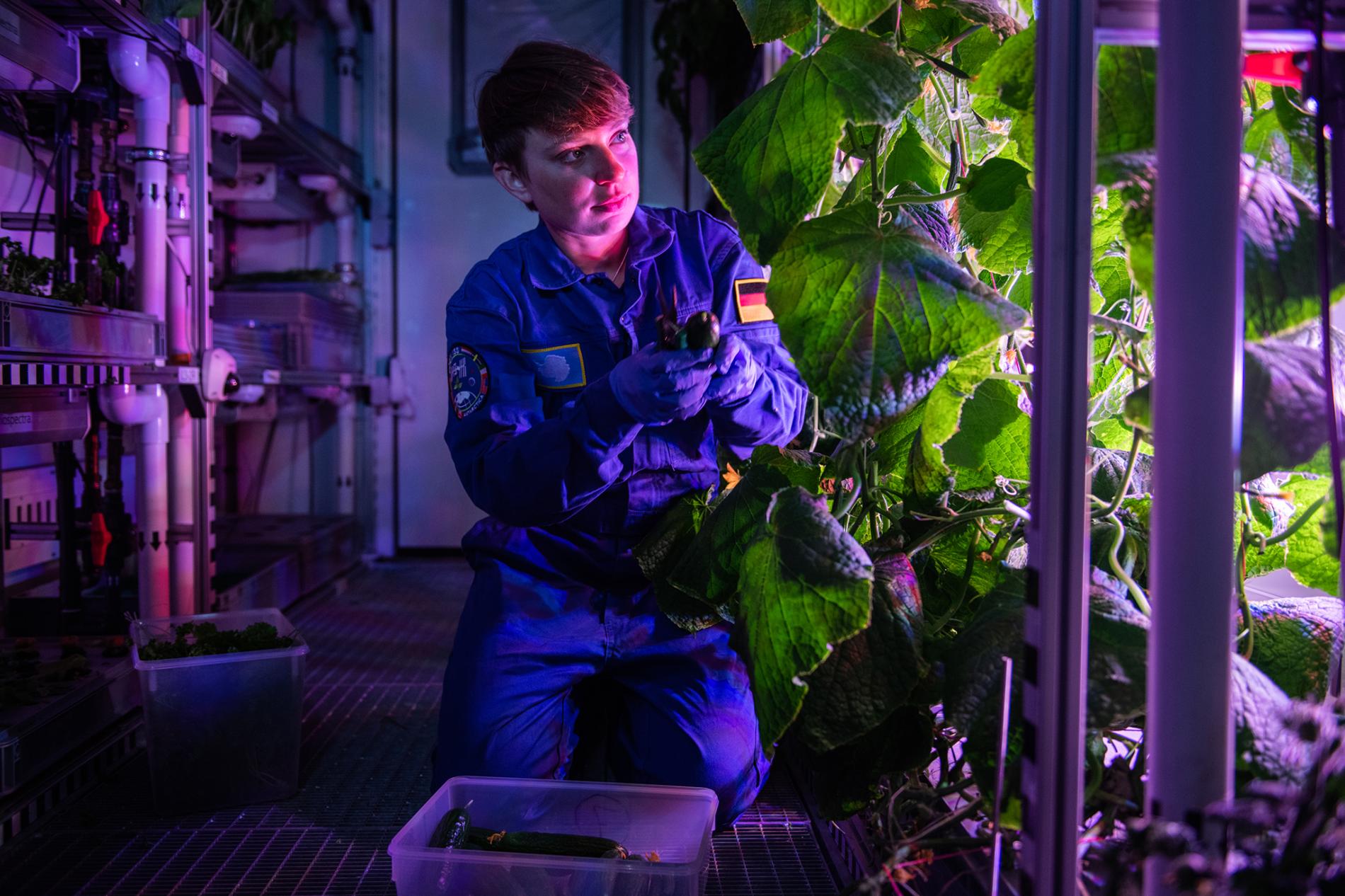 biotecnologie spazio NASA piante