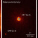 Tre immagini dell'esopianeta DH Tau b. L'immagine a sinistra mostra tutta la luce, sia non polarizzata che polarizzata. L'immagine centrale mostra solo la luce polarizzata. L'immagine a destra mostra anche la direzione della luce polarizzata. Nella terza immagine è visibile il pianeta DH Tau b con un disco di polvere e gas attorno. È visibile anche il disco attorno alla stella. (c) ESO / VLT / SPHERE / Van Holstein et al.