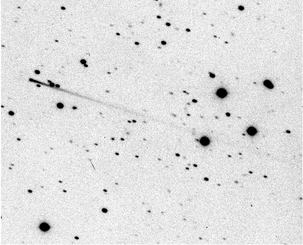 Una foto della cometa 7968 Elst–Pizarro, scattata nel 1996, al momento della sua scoperta. 