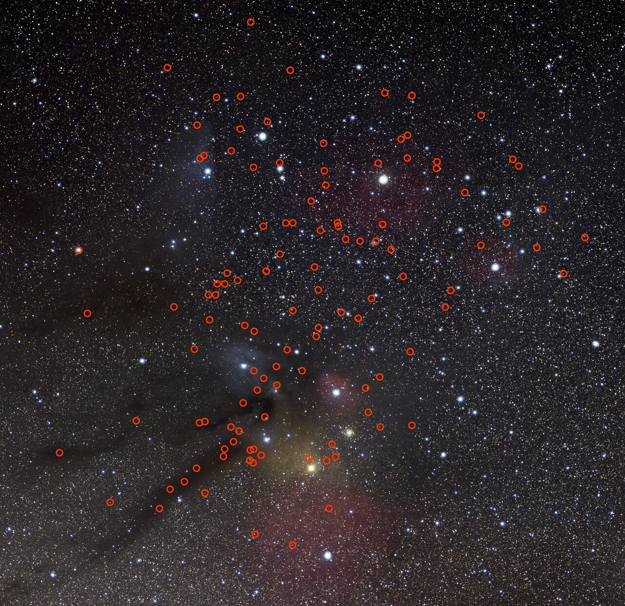 I 115 pianeti canaglia, cerchiati in rosso. Credits: Credit: ESO/N. Risinger (skysurvey.org)