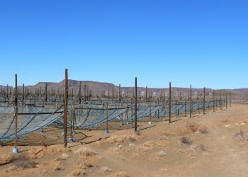 Alcune antenne del radiotelescopio Hera.