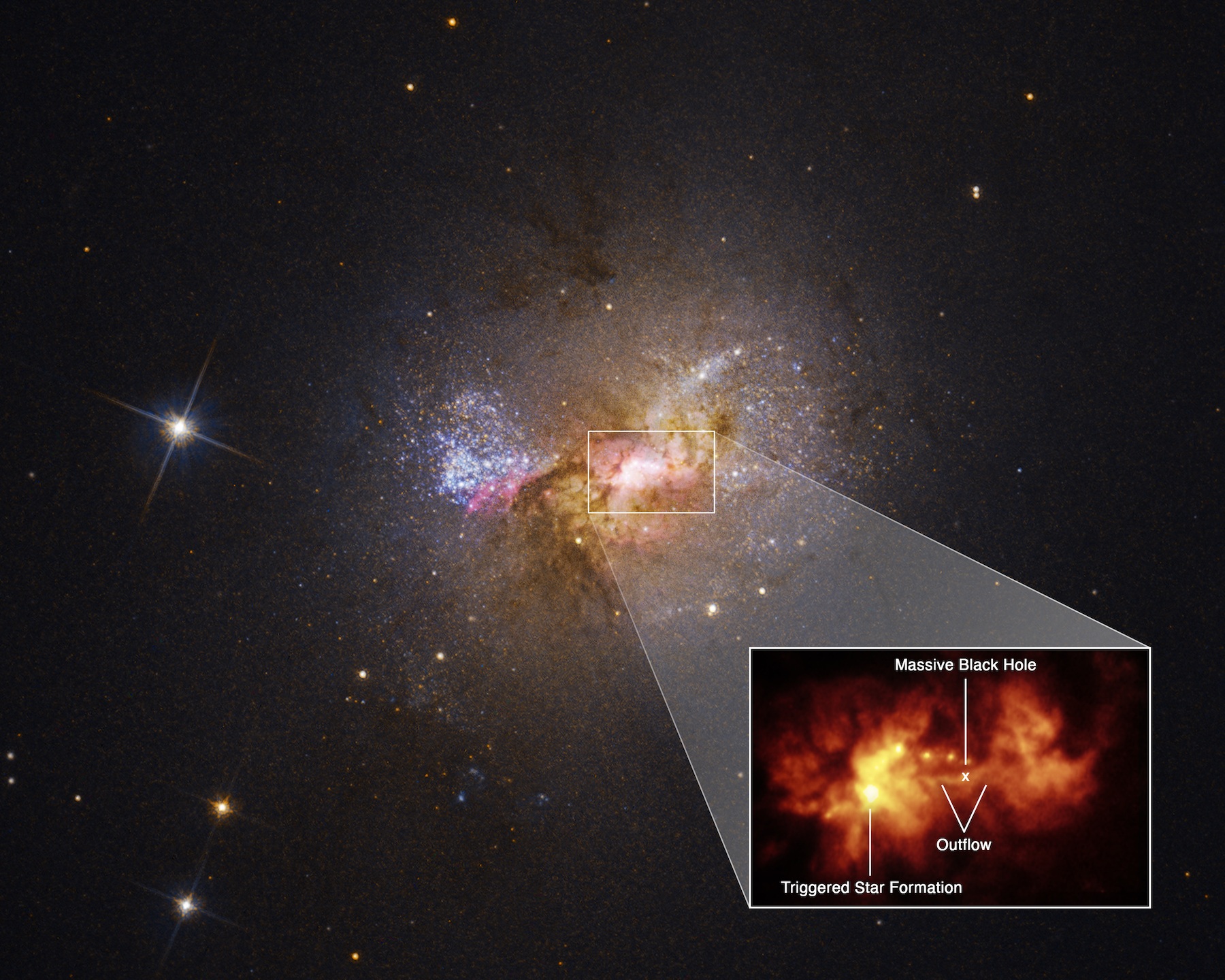 Esempio di una delle scoperte sui buchi neri effettuata grazie ad Hubble. Dalla regione centrale della galassia nana Henize 2-10 esce un getto di gas caldo lungo 230 anni luce, che collega il massiccio buco nero della galassia e una regione di formazione stellare. I dati di Hubble sulla velocità del deflusso dal buco nero, così come l'età delle giovani stelle, indicano una relazione causale tra i due. Alcuni milioni di anni fa, il deflusso di gas caldo si è schiantato contro la densa nuvola di formazione stellare e si è diffuso. Ora ammassi di giovani stelle sono allineati perpendicolarmente al deflusso, rivelando il percorso della sua diffusione. Credits: NASA, ESA, Zachary Schutte, Amy Reines