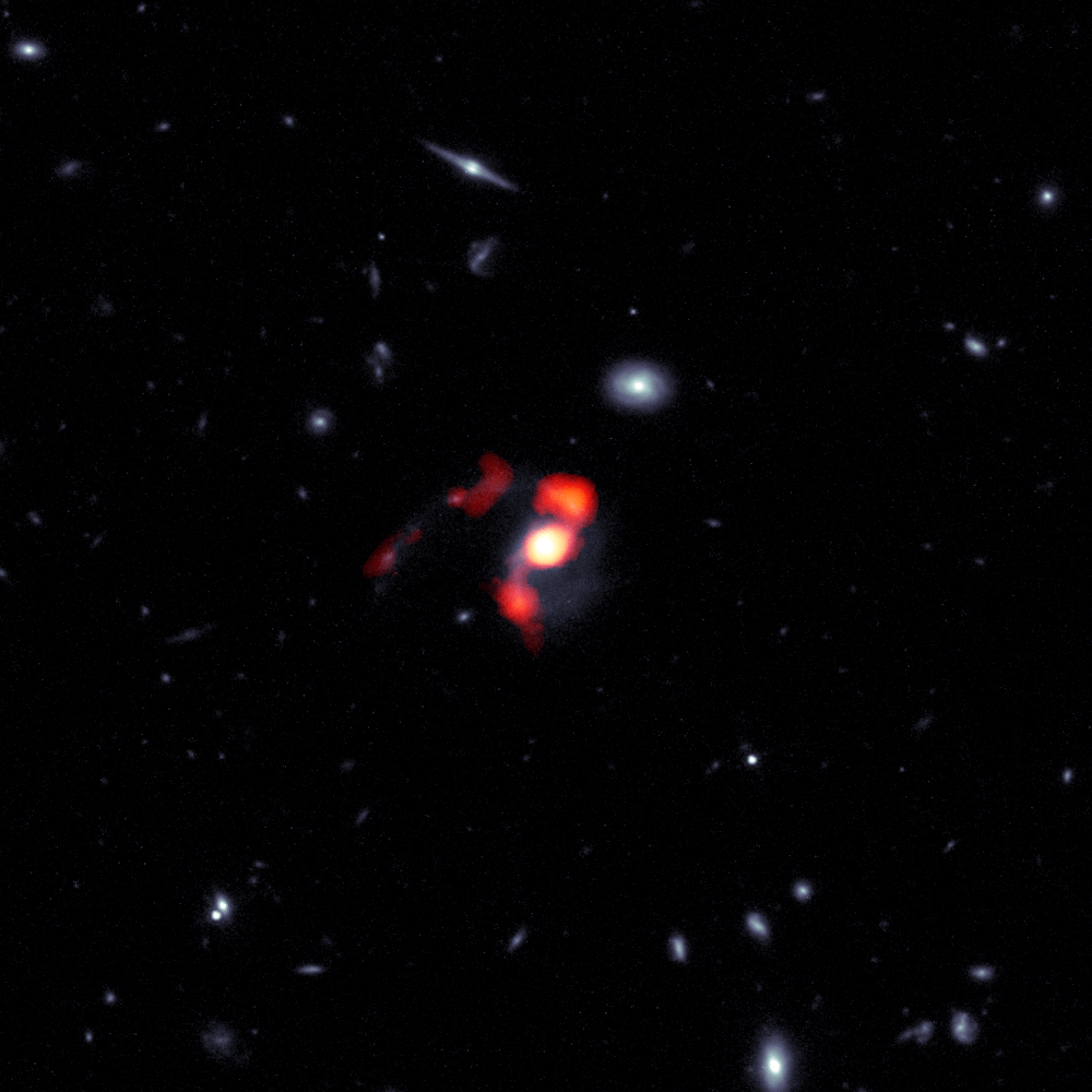 SDSS J14481010