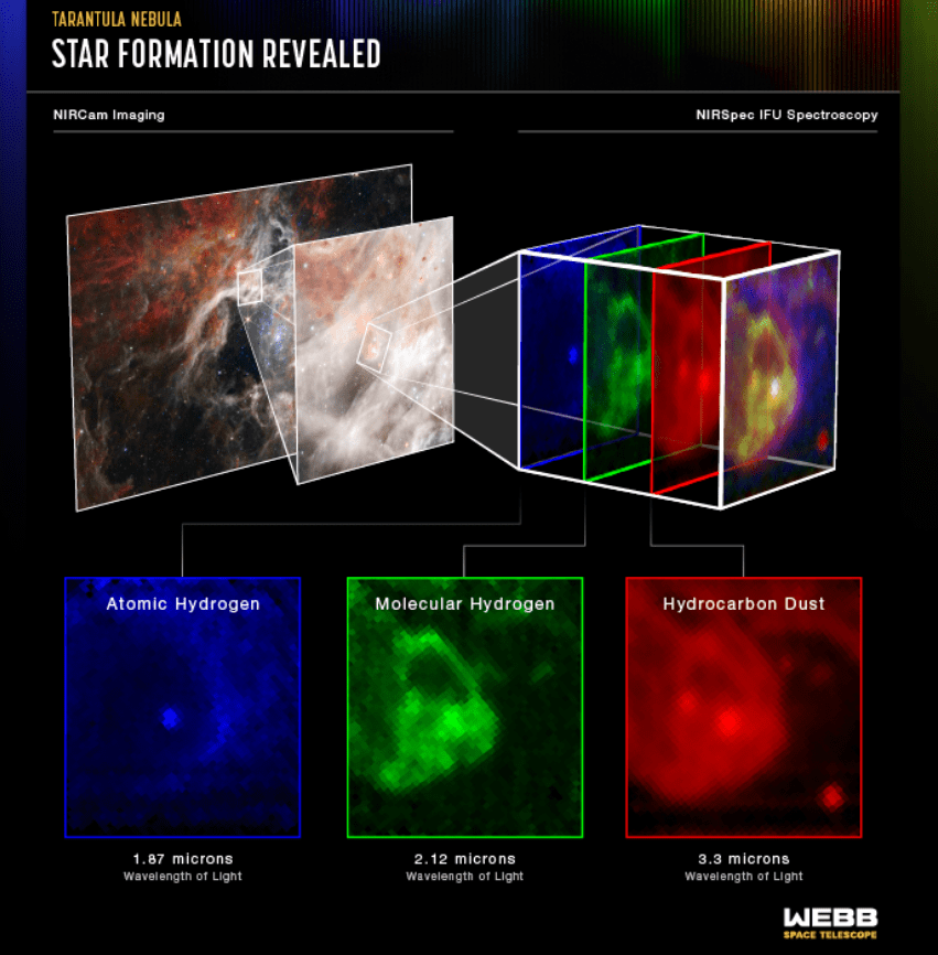 Nebulosa della Tarantola con NIRSpec