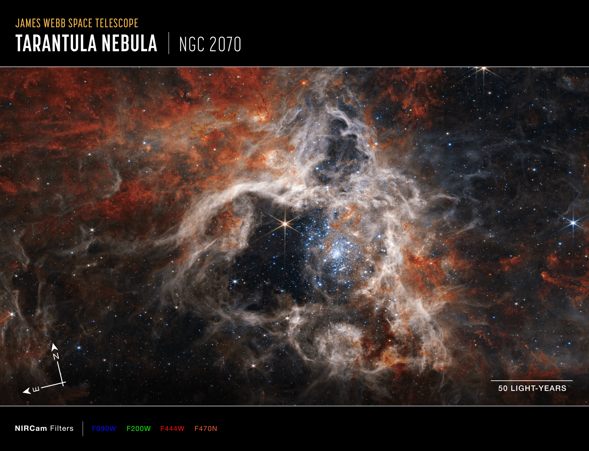 In questa immagine a mosaico che si estende per 340 anni luce, la NIRCam (Near-Infrared Camera) di Webb mostra la regione di formazione stellare della Nebulosa Tarantola sotto una nuova luce, con decine di migliaia di giovani stelle mai viste prima e precedentemente avvolte dalla polvere cosmica. Credits: NASA, ESA, CSA, STScI, Webb ERO