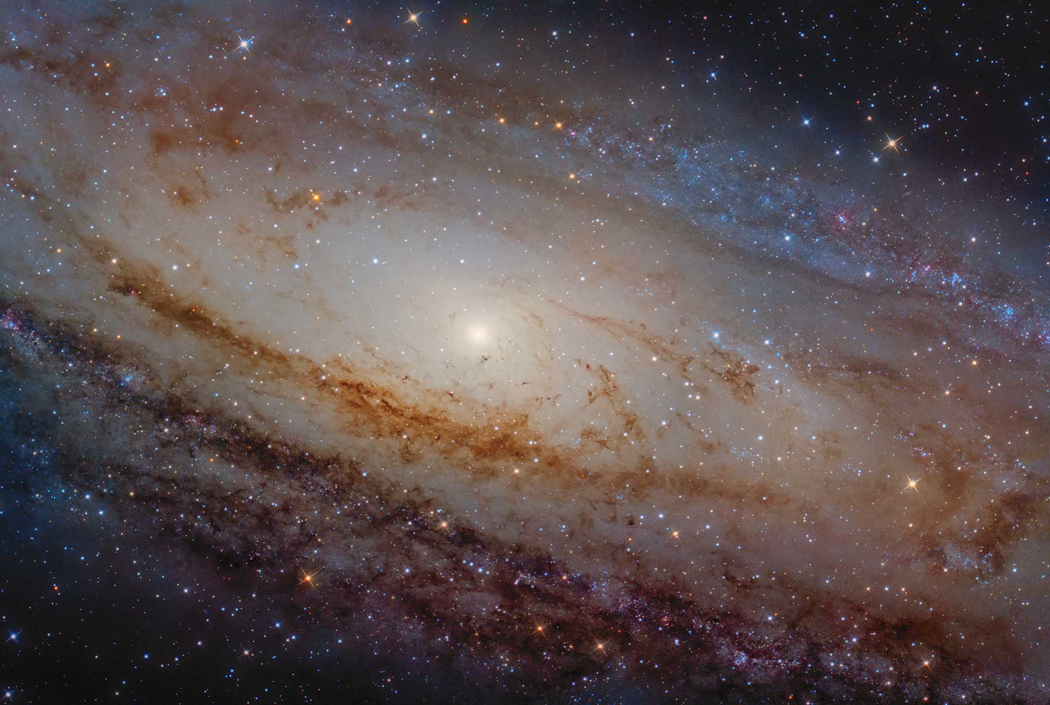 Dettaglio del nucleo galattico di andromeda e della sua spirale. Immagine fornita da Luca Fornaciari.