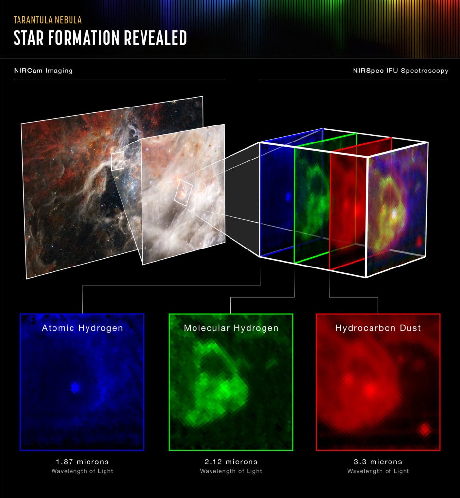 Tarantula Nebula (NIRSpec IFU)