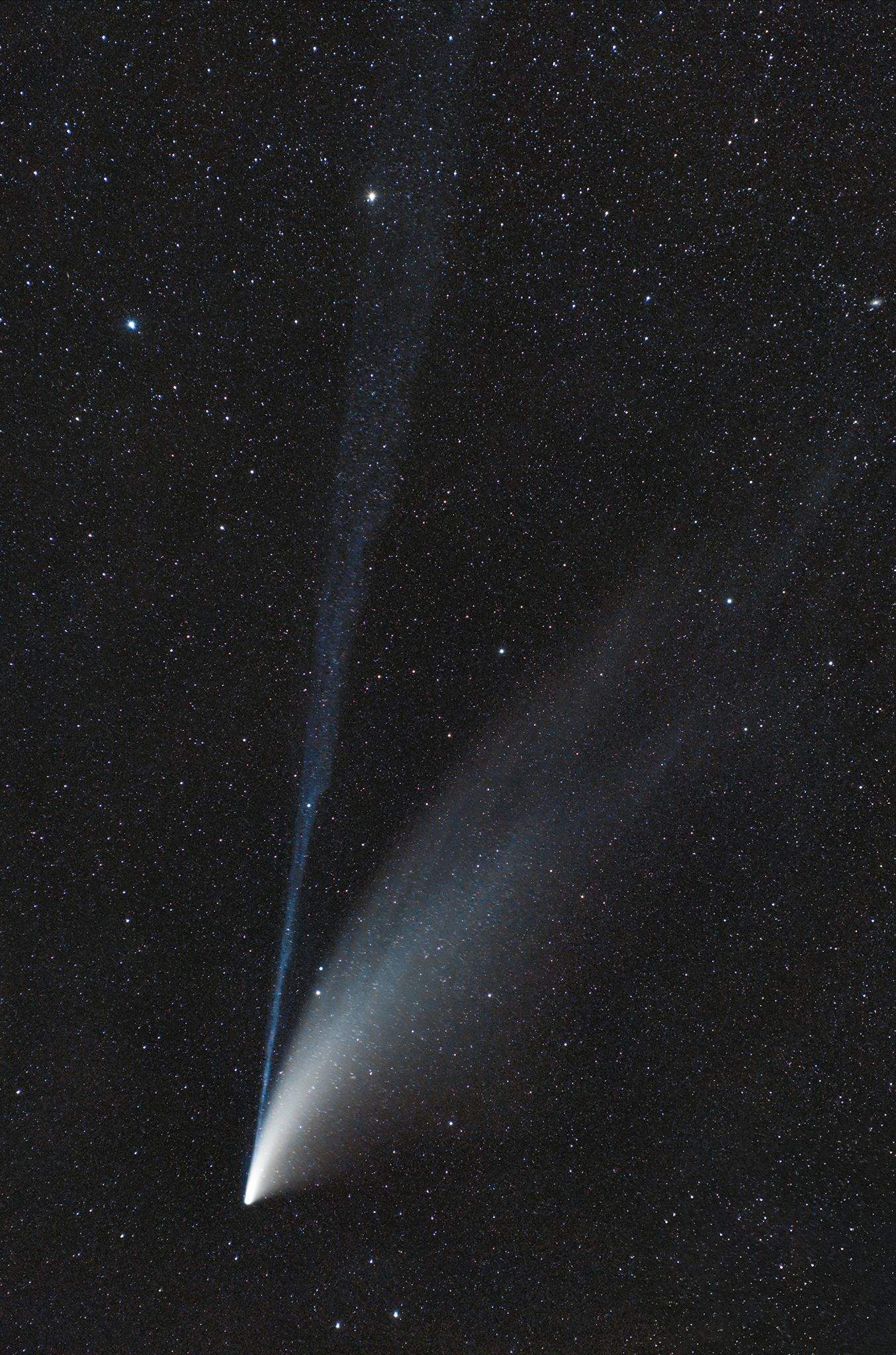 Fotografia della cometa Neowise che nel 2020 è diventata visibile anche ad occhio nudo grazie alla sua luminosità. In questa immagine sono ben visibili le due code della cometa, quella di ioni a sinistra e quella di polveri a destra. Credits: Luca Fornaciari