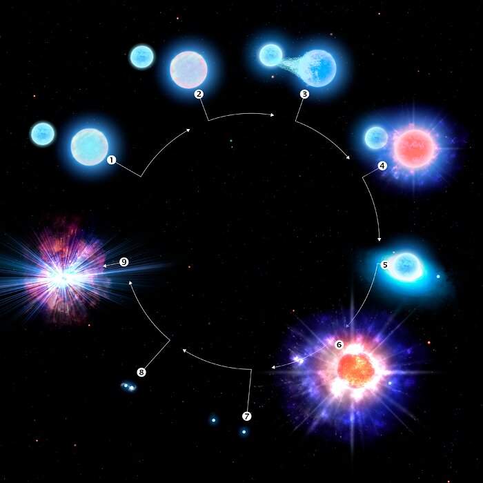 evoluzione sistema stellare in kilonova