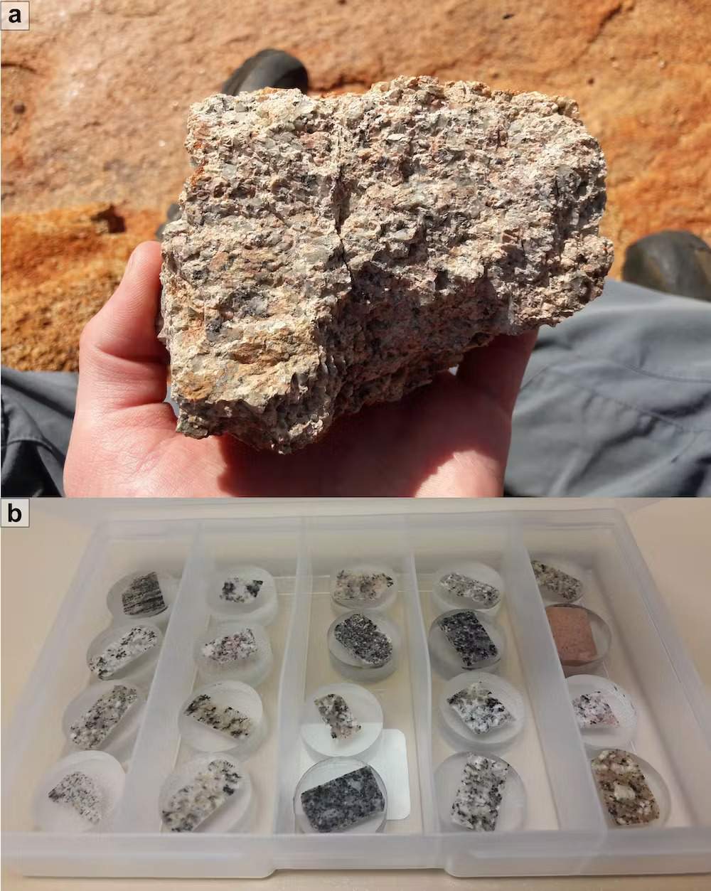 (a) Granito prelevato presso la struttura di Yarrabubba. (b) Esempi di campioni di roccia da analizzare per definire la composizione isotopica. I grani rosa nel granito sono tipicamente feldspati che contengono piombo ma non uranio e possono essere utilizzati per le analisi isotopiche del piombo. Credits: Andreas Zametzer