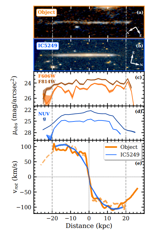 Grafico riassuntivo sulla struttura VD23