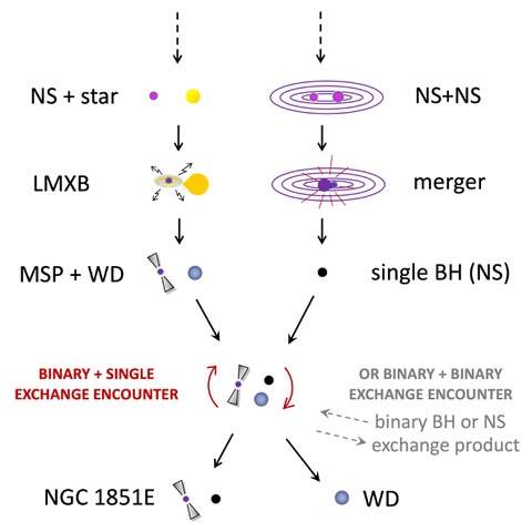 Potenziale storia della formazione della radiopulsar NGC 1851E e della sua compagna compatta. Credits: Thomas Tauris (Aalborg University/MPIfR)