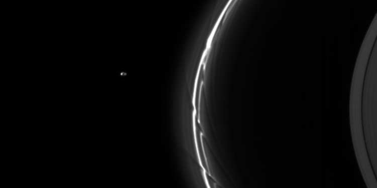 Immagine della sonda Cassini della luna Pandora, di circa 80 chilometri di diametro, che agisce insieme alla luna Prometeo sull'anello F di Saturno. Credits: NASA/JPL/Space Science Institute