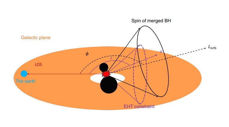 Schema del modello di fusione dei due buchi neri supermassicci in Sagittarius A*. Lorb indica il momento angolare orbitale della coppia, mentre ϕ è l'angolo tra Lorb e la linea di vista (LOS) di Sgr A*. Il momento angolare del buco nero prodotto dopo la fusione cade nel cono blu, per soddisfare i vincoli delle osservazioni EHT indicati dal cono viola. Credits: Wang et al. 2024