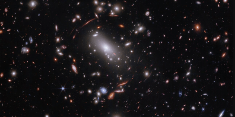 Immagine della NIRCam del James Webb che ritrae l'ammasso di galassie MACS J1423, all'interno della quale è stata trovata e "pesata" una galassia primordiale, soprannominata Firefly Sparkle. Credits: NASA, ESA, CSA, STScI, C. Willott (NRC-Canada), L. Mowla (Wellesley College), K. Iyer (Columbia)