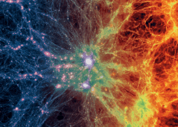 Simulazione della "ragnatela cosmica", la vasta rete di fili e filamenti che si estende in tutto l'Universo. Credits: Illustris Collaboration / Illustris Simulation