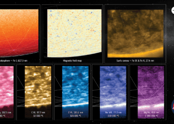 Collage di una serie di osservazioni di Solar Orbiter della regione polare del Sole. Credits: ESA & NASA/Solar Orbiter/PHI, EUI & SPICE Teams