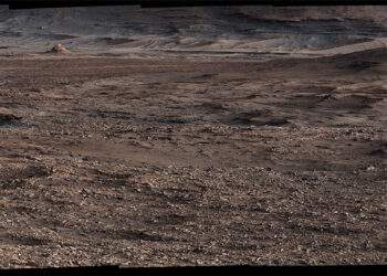 Vista del rover Curiosity sulla regione delle formazioni "boxwork", creste basse che gli scienziati pensano possano essere state formate dalle acque sotterranee miliardi di anni fa. Credits: NASA/JPL-Caltech/MSSS