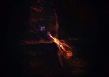 La stella neonata HOPS-315, dove è stata osservata per la prima volta la prova delle prime fasi della formazione planetaria. L'immagine è di ALMA. Credits: ALMA(ESO/NAOJ/NRAO)/M. McClure et al.