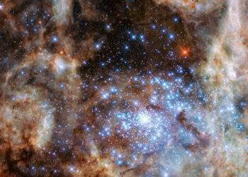 R136, un ammasso contenente alcune delle stelle più massicce conosciute, circa 120-150 masse solari, fotografato dal James Webb. Credits: NASA, ESA, and P. Crowther (University of Sheffield)